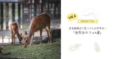 奈良駅周辺の自然カフェ！おすすめ自然派カフェ4選【奈良県】