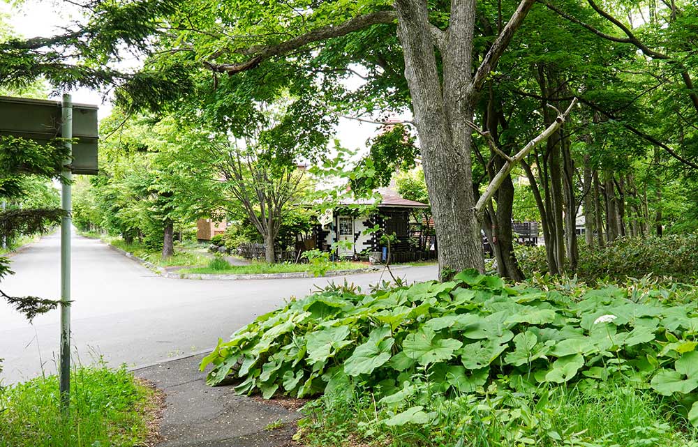 森の喫茶店BIBIの外観