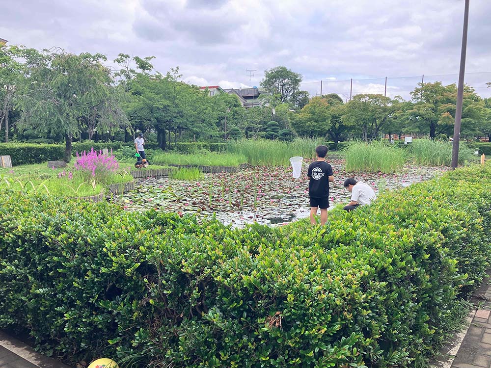 「行船公園」の水生池