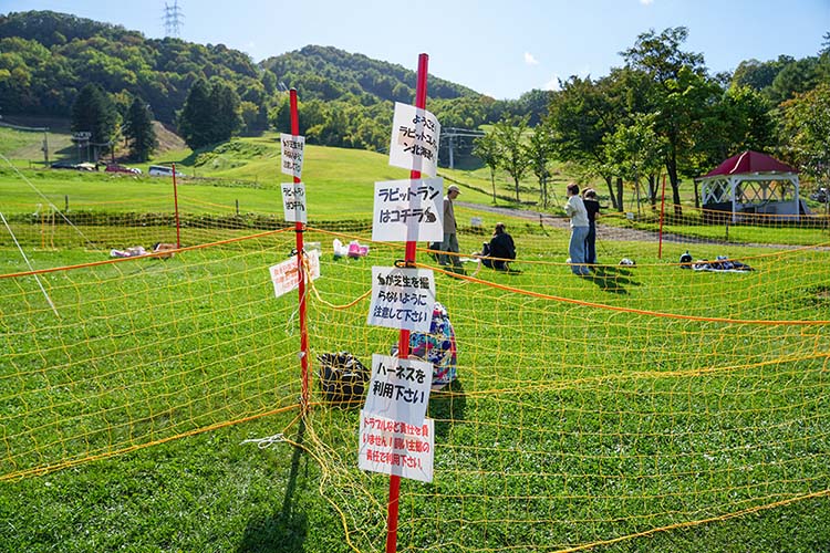 うさぎホテル&カフェ しあわせ うさぎのイベントの風景