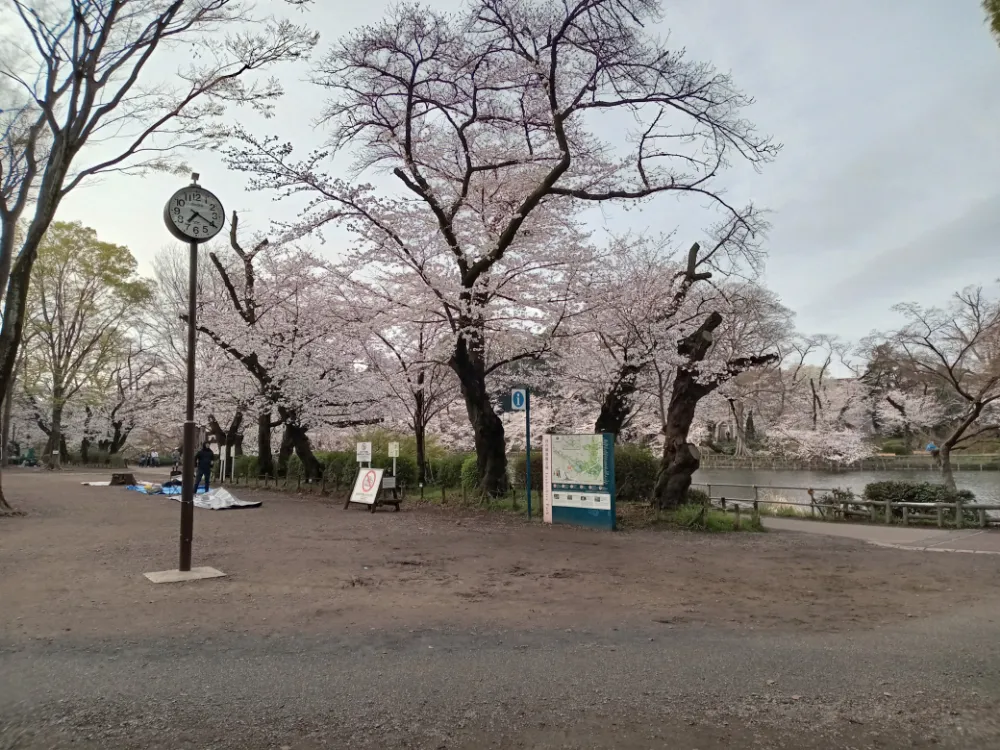 井の頭恩賜公園