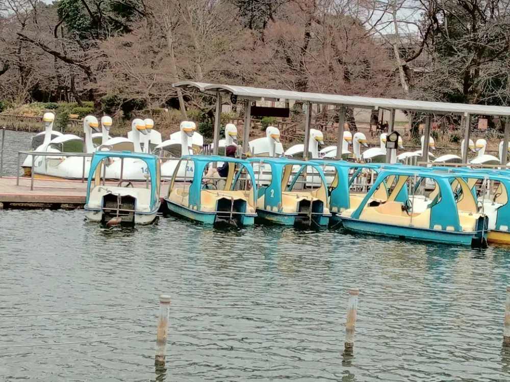 井の頭恩賜公園のボート