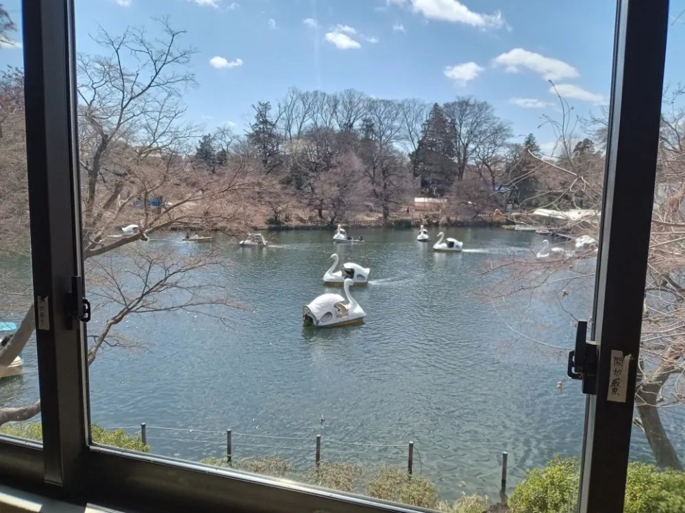 井の頭恩賜公園のsubLime(サブライム)からの風景