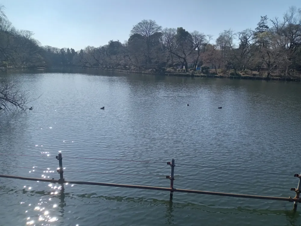 井の頭恩賜公園