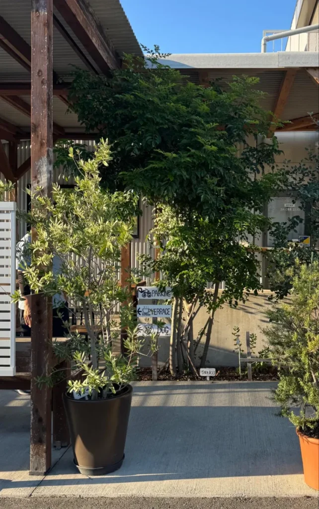 「Piece by Piece coffee」のテラス席