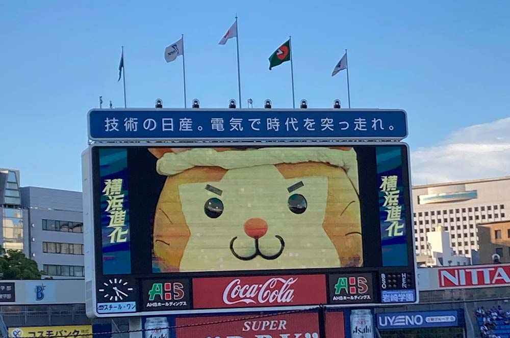 横浜DeNAベイスターズのマスコットキャラ「DB.キララ」